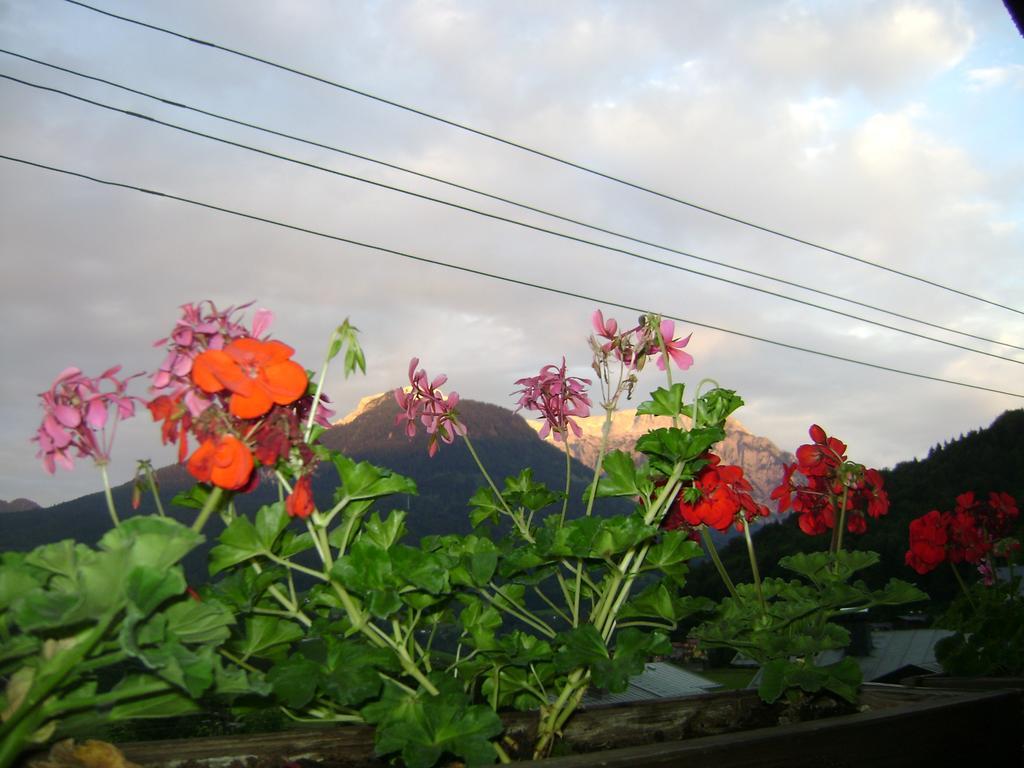 Wein Berchtesgaden